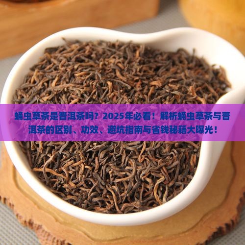 蛹虫草茶是普洱茶吗