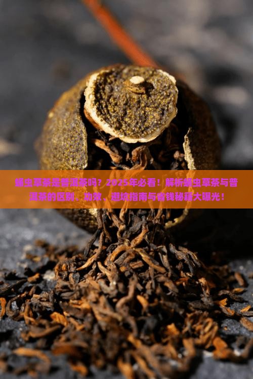 蛹虫草茶是普洱茶吗