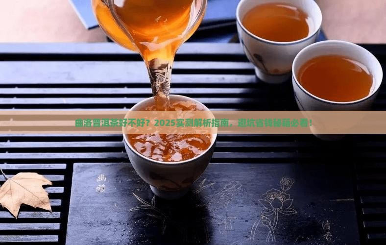 曲洛普洱茶好不好