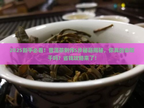 普洱茶萎凋杀青揉捻晾干全过程