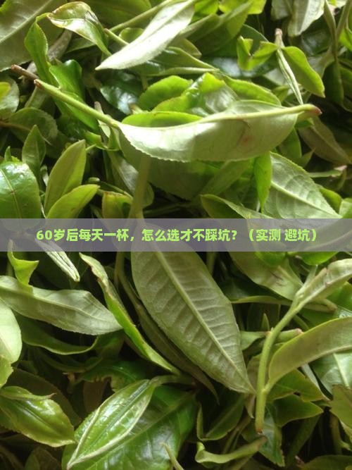 老年人可以喝什么茶好
