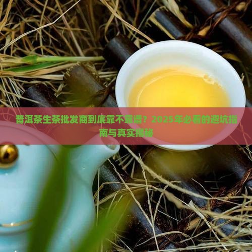 普洱茶生茶批发商