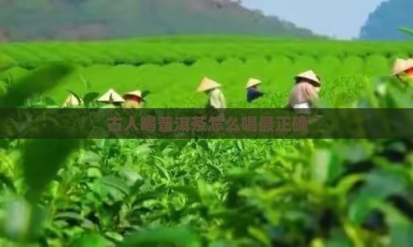 古人喝普洱茶怎么喝最正确