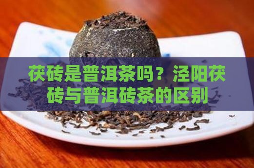 伏砖是普洱茶吗