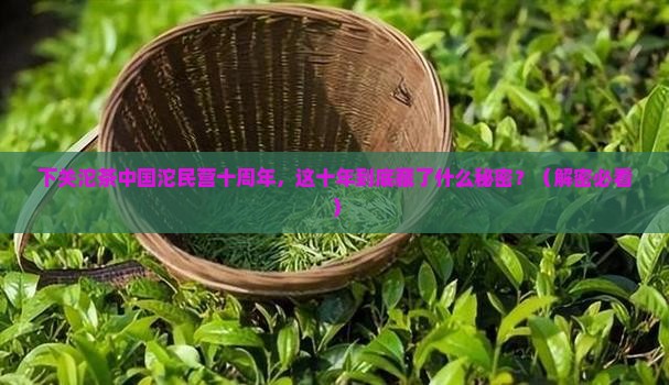 下关沱茶中国沱民营十周年