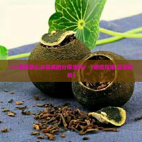 普洱茶按照山头区分吗