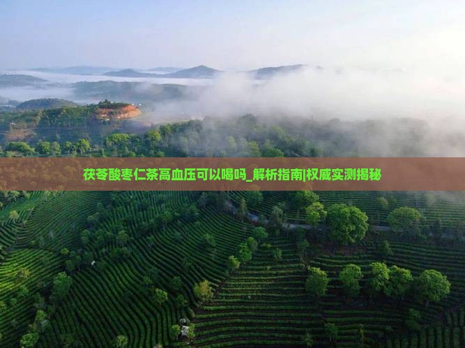 茯苓酸枣仁茶高血压可以喝吗 茯苓酸枣仁茶高血压可以喝吗