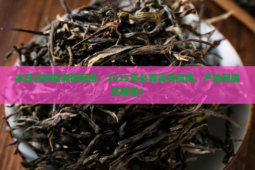 冰岛古树茶出自哪个国家
