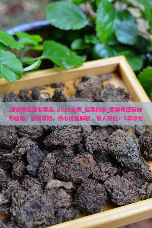 瑞合普洱茶专卖店