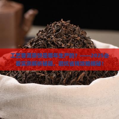 工艺普洱茶饼是哪年生产的