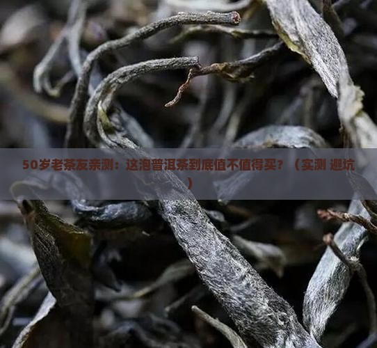 老同志生态普洱茶