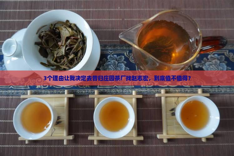 昔归庄园茶厂厂长赵志宏