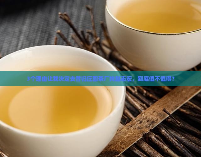昔归庄园茶厂厂长赵志宏