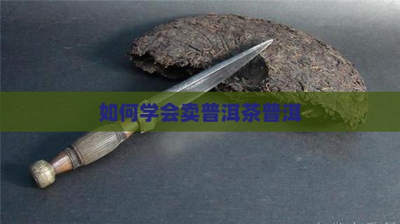 如何学会卖普洱茶
