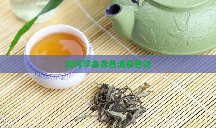 如何学会卖普洱茶