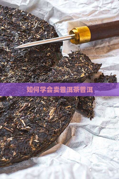 如何学会卖普洱茶