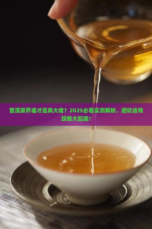 普洱茶标杆在哪里