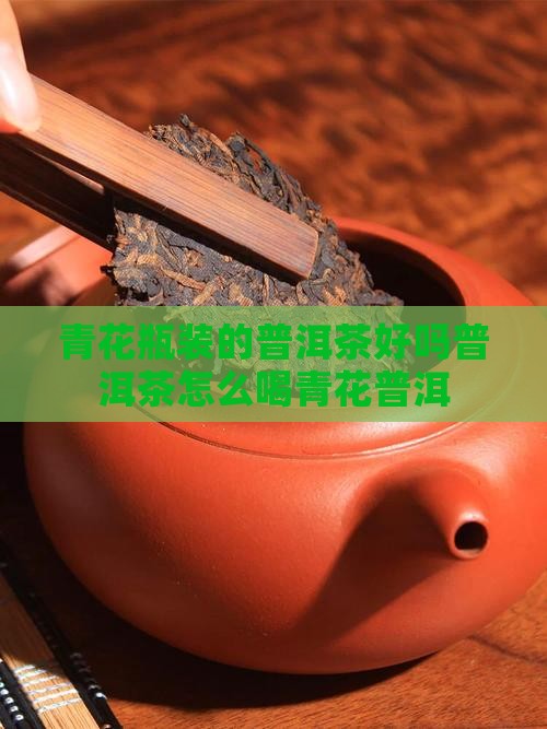 青花瓶装的普洱茶好吗怎么喝