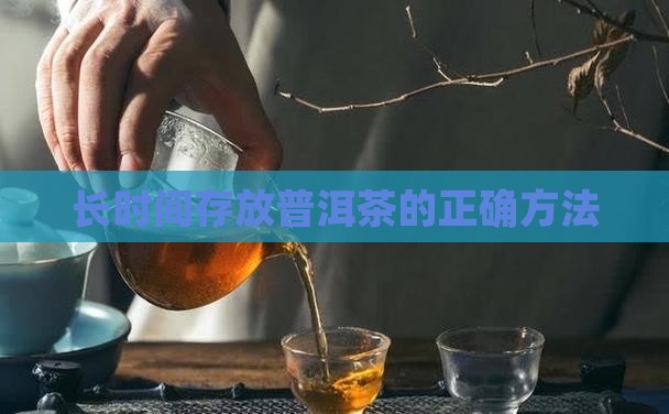 长时间存放普洱茶