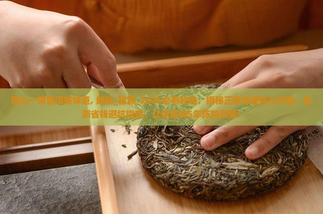 保山一带普洱茶味道