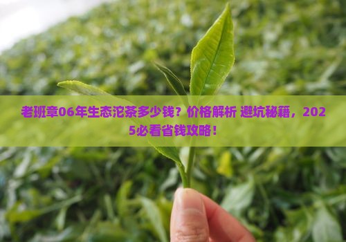 06年老班章生态沱茶价格