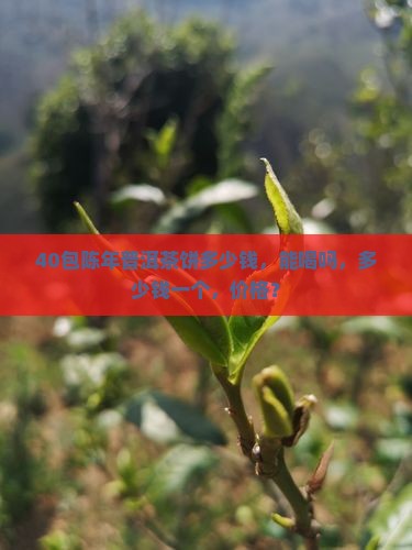 40包陈年普洱茶饼