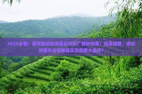 西双版纳勐海县云河茶厂