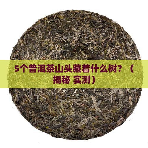 普洱茶的山头有哪些树木