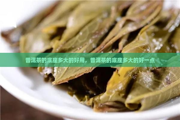 普洱茶的底座多大的好