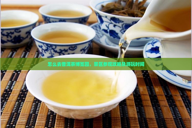 怎么去普洱茶博览园