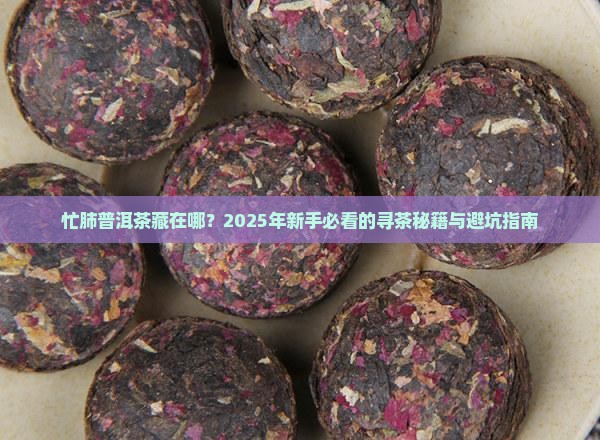 忙肺普洱茶在哪里