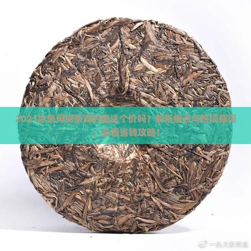 2021冰岛母树茶