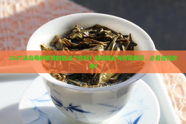 2021冰岛母树茶