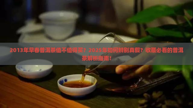 2013年早春普洱茶
