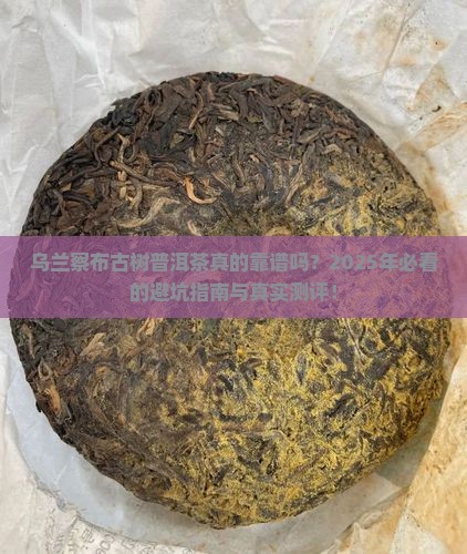 乌兰察布古树普洱茶
