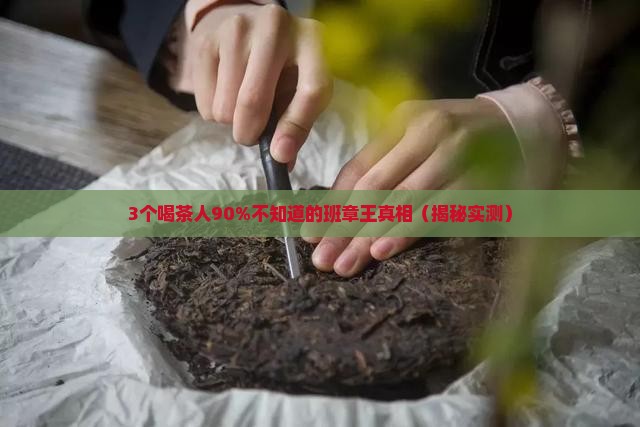 中茶牌野生乔木班章王