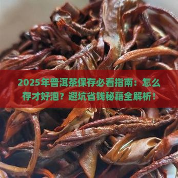 普洱茶怎么保存才好泡茶
