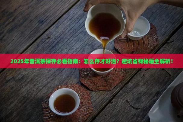 普洱茶怎么保存才好泡茶