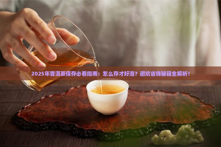 普洱茶怎么保存才好泡茶