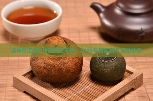 逸神普洱茶价格