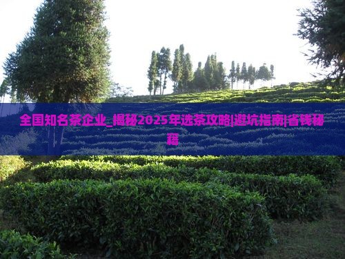 全国知名茶企业