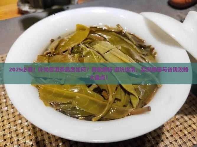 叶尚的普洱茶怎么样