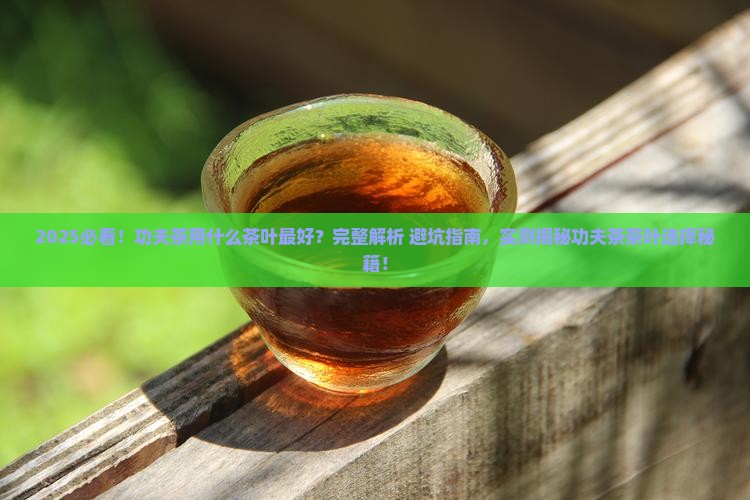 功夫茶用什么茶叶好