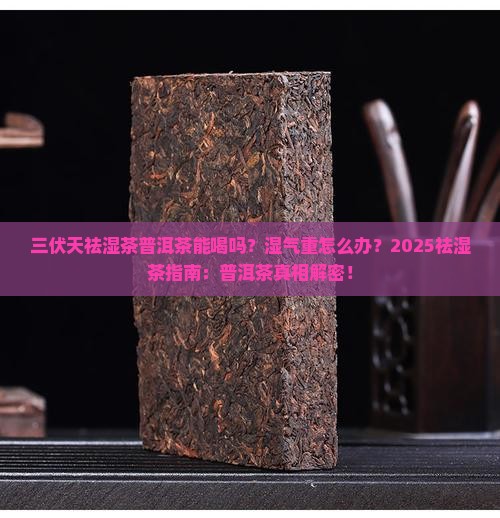 三伏天祛湿茶普洱茶能喝吗 三伏天祛湿茶普洱茶能喝吗