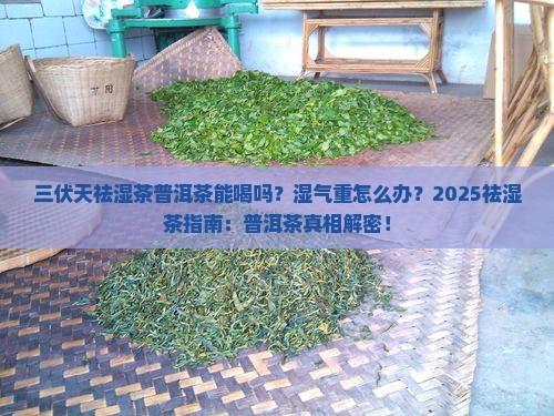 三伏天祛湿茶普洱茶能喝吗 三伏天祛湿茶普洱茶能喝吗