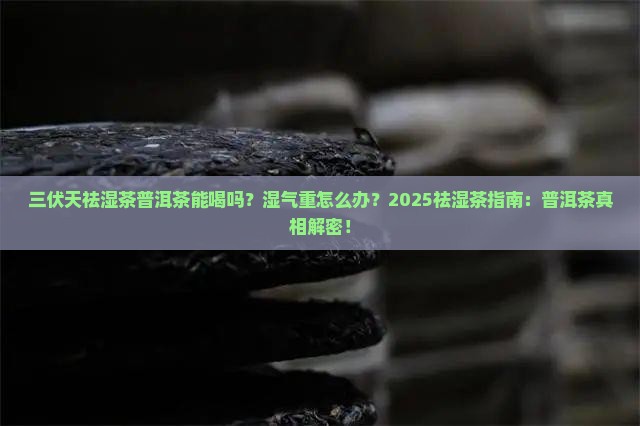 三伏天祛湿茶普洱茶能喝吗 三伏天祛湿茶普洱茶能喝吗
