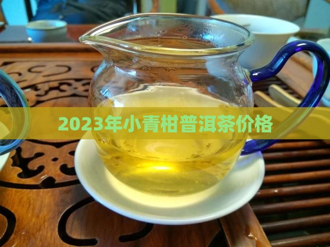 2023年小青柑普洱茶价格