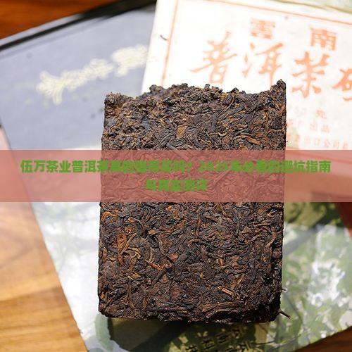 伍万茶业普洱茶