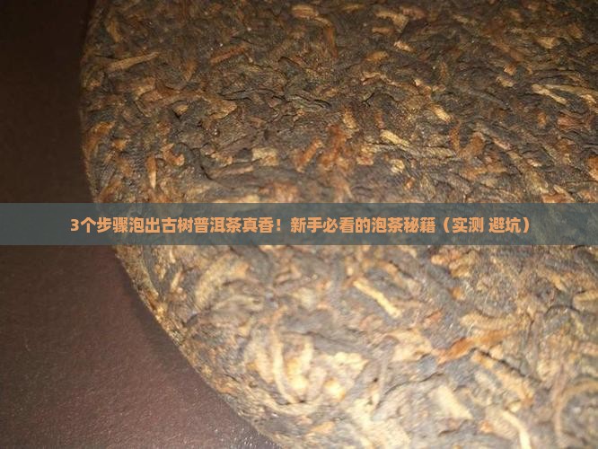 古树普洱茶正确泡法