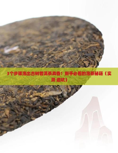 古树普洱茶正确泡法